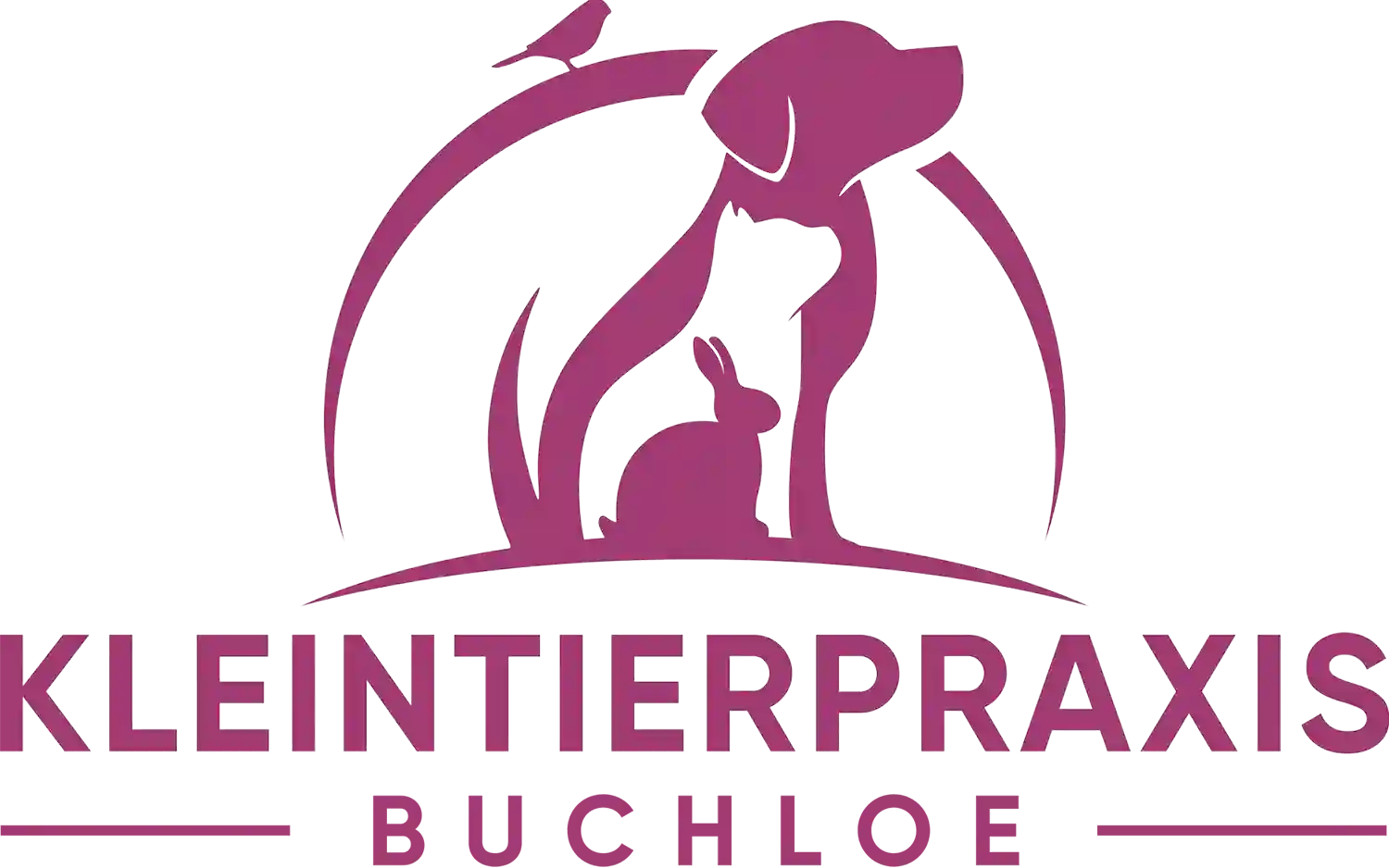 Kleintierpraxis Buchloe